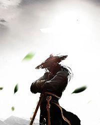 校园女友是什么意思