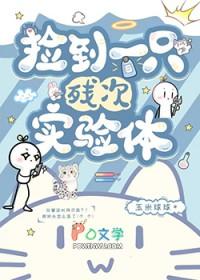 捡到一只残疾猫怎么办